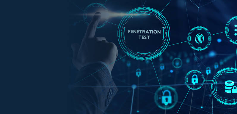 Profesyonel Pentest